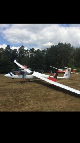 celle-31